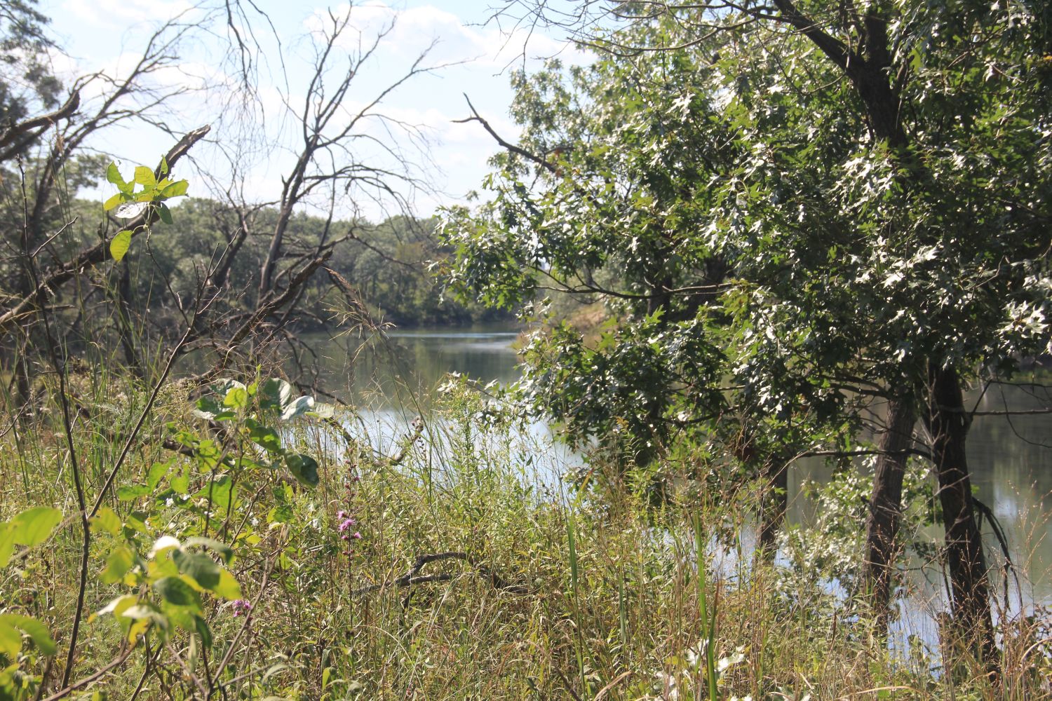 Ranger Led Miller Woods Hike 